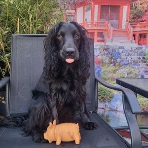 Meet your Posher, Michaela